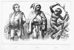 Man Monk Monkey